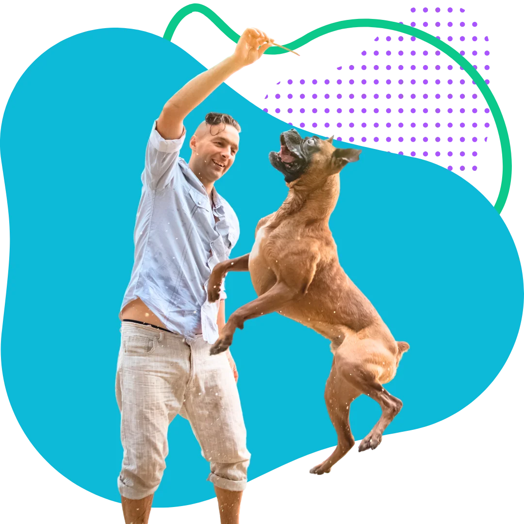 man playing fetch with his hyper boxer dog with a colorful abstract background